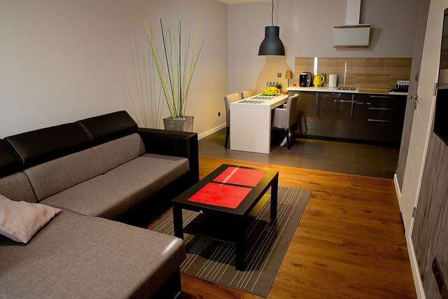 Апартаменты Apartament Wiosenna Kielce Кельце-34